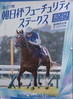 12��14���ς��ς�