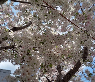 3��28���@��