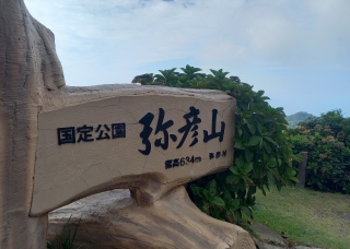 �V�����s11