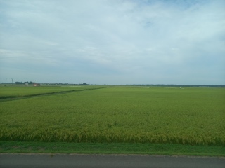 �V�����s36