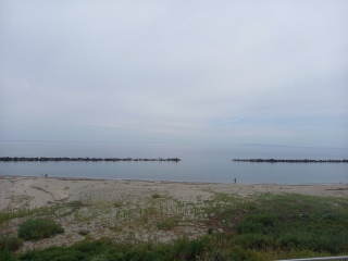 �V�����s39