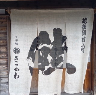 �V�����s46